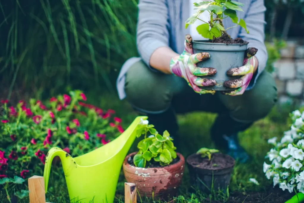 How Gardening Improves Mental and Physical Health